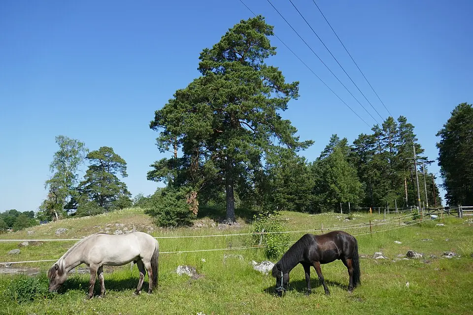 Täby prästgård