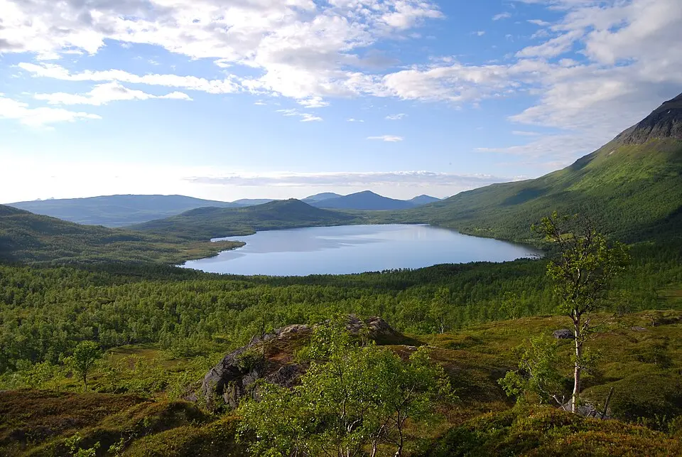 Tårnvatnet