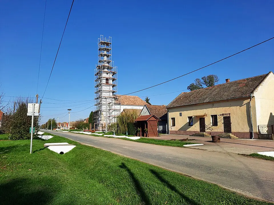 Image: Györkő Zsombor · CC BY-SA 4.0 Tésenfa