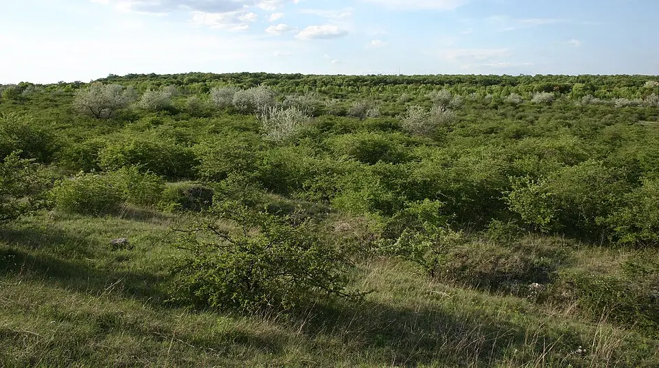Réserve naturelle du plateau de Tétény