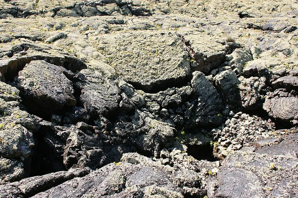 Cueva de los Naturalistas