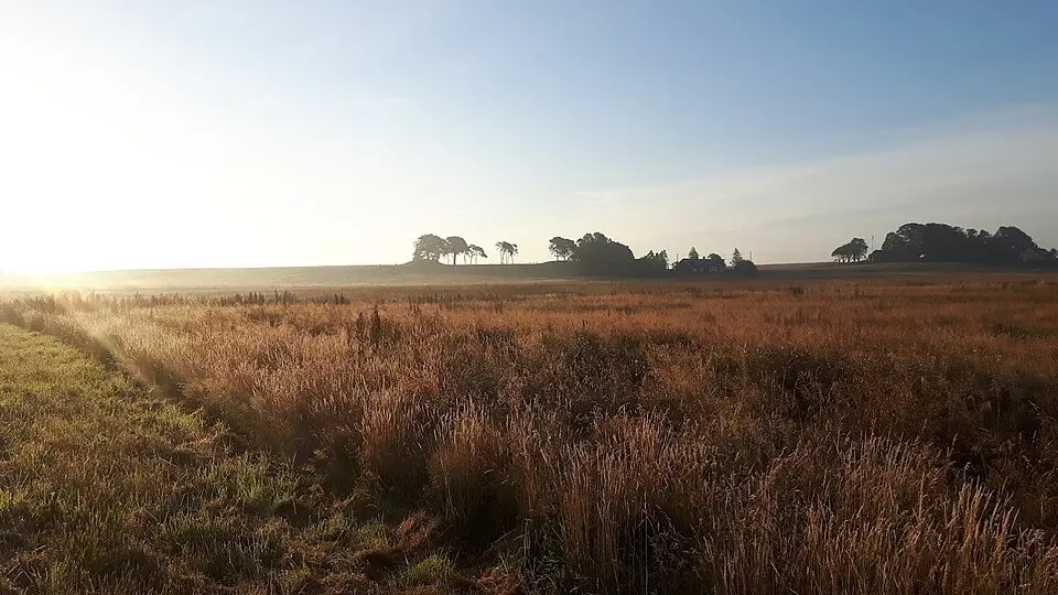 Tönnersa