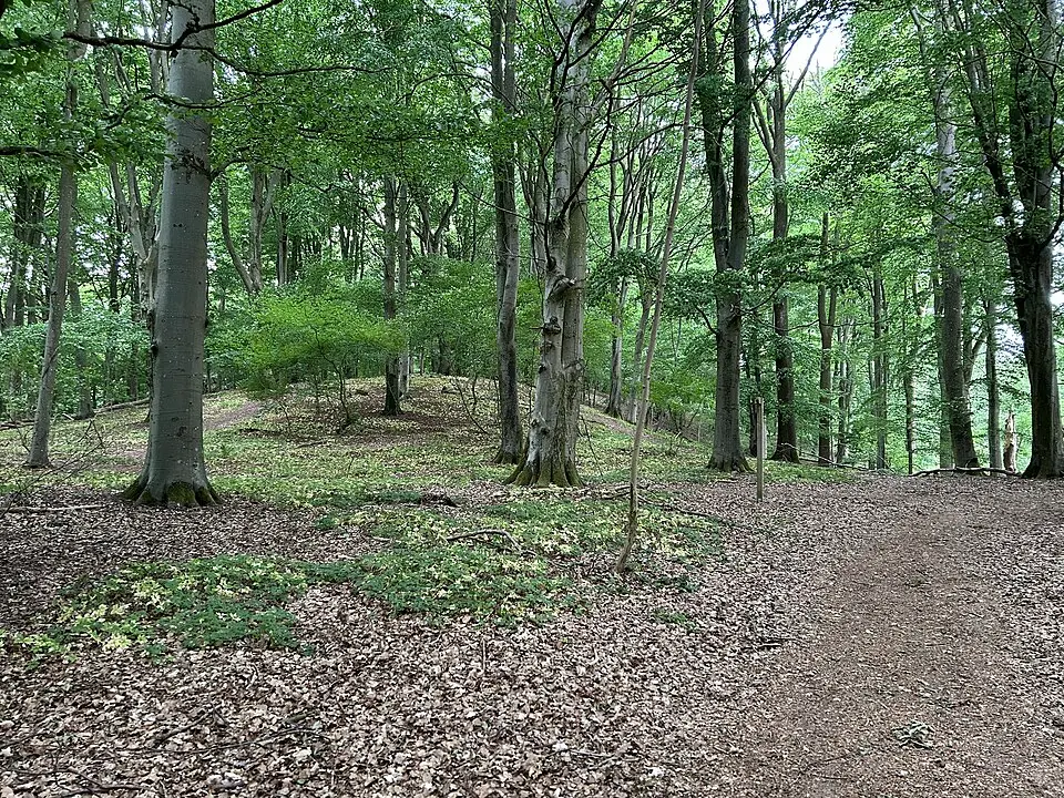 Törringelunds naturreservat
