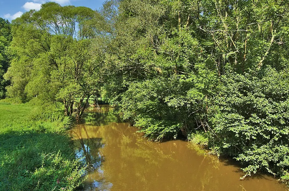 Slika: Jiří Komárek · CC BY-SA 4.0 Třebůvka
