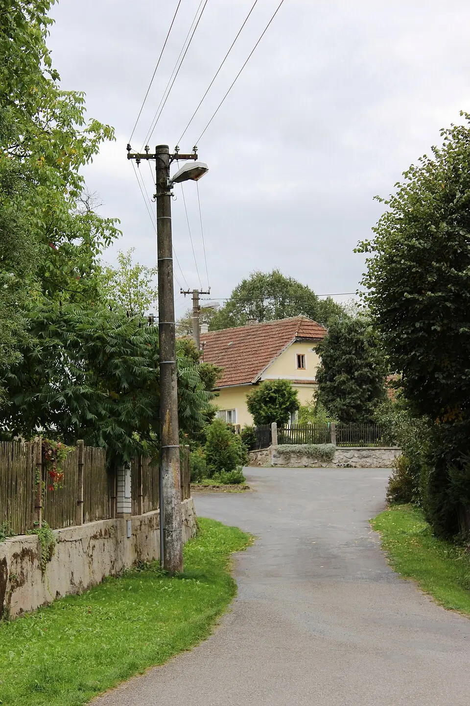 Třemešná