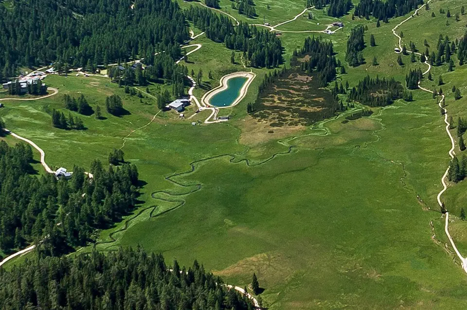 Teichl