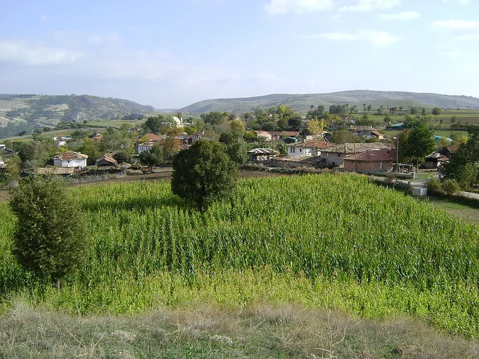 Tekkekıran