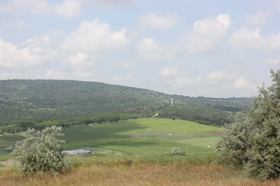Telenești