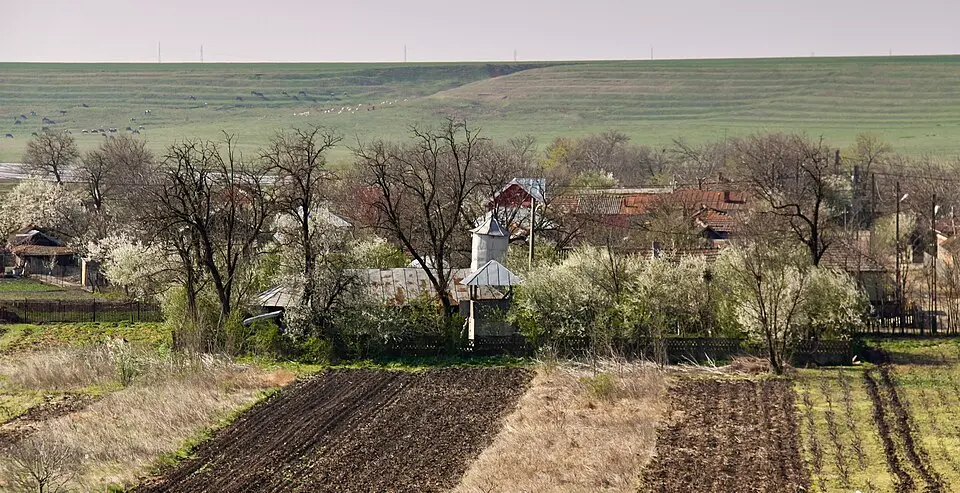 Mârzănești