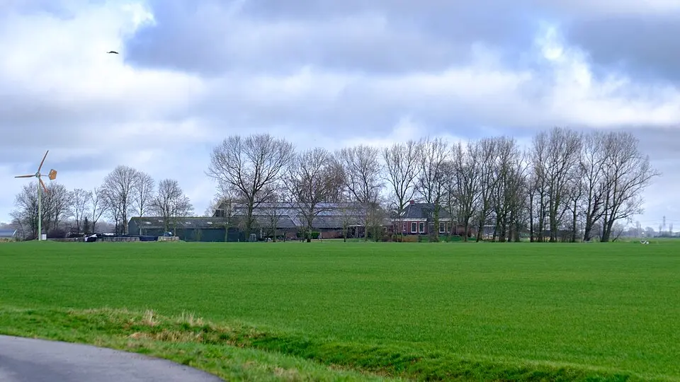 Terrein met resten van een borg (Freylema)