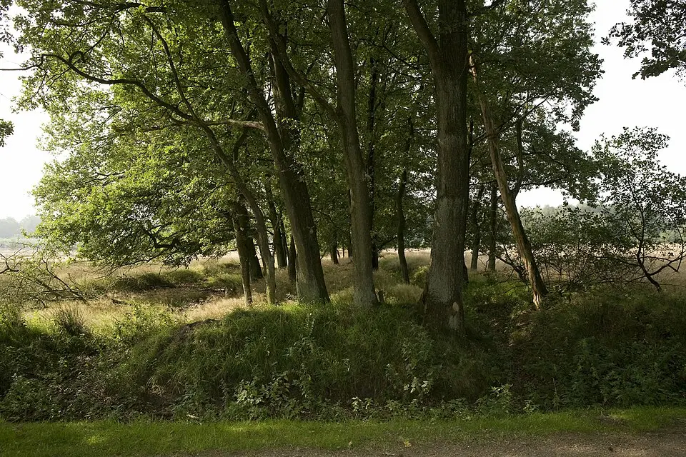 Terrein waarin grafheuvel #45791