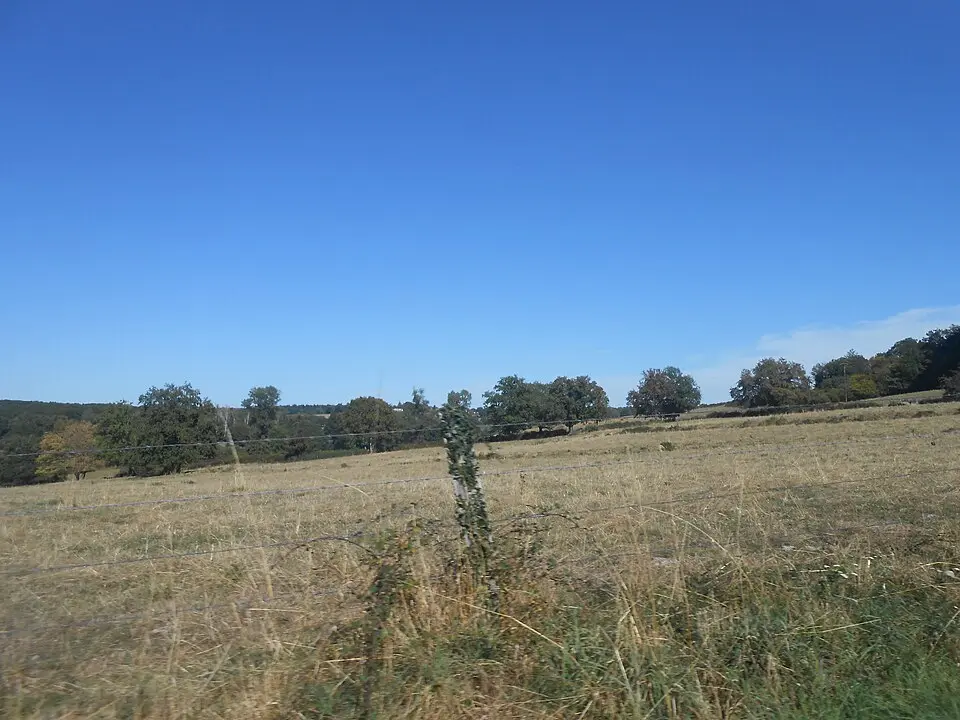 Terjat