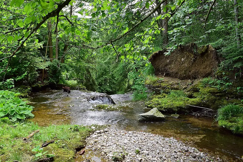 Fallerbach