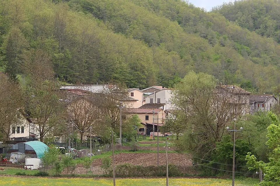 Terne
