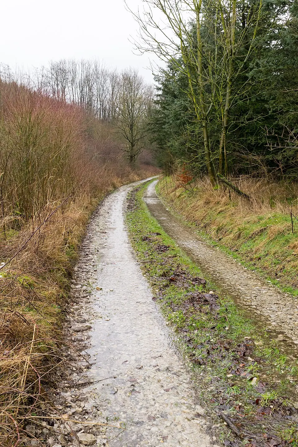 Steinbeke