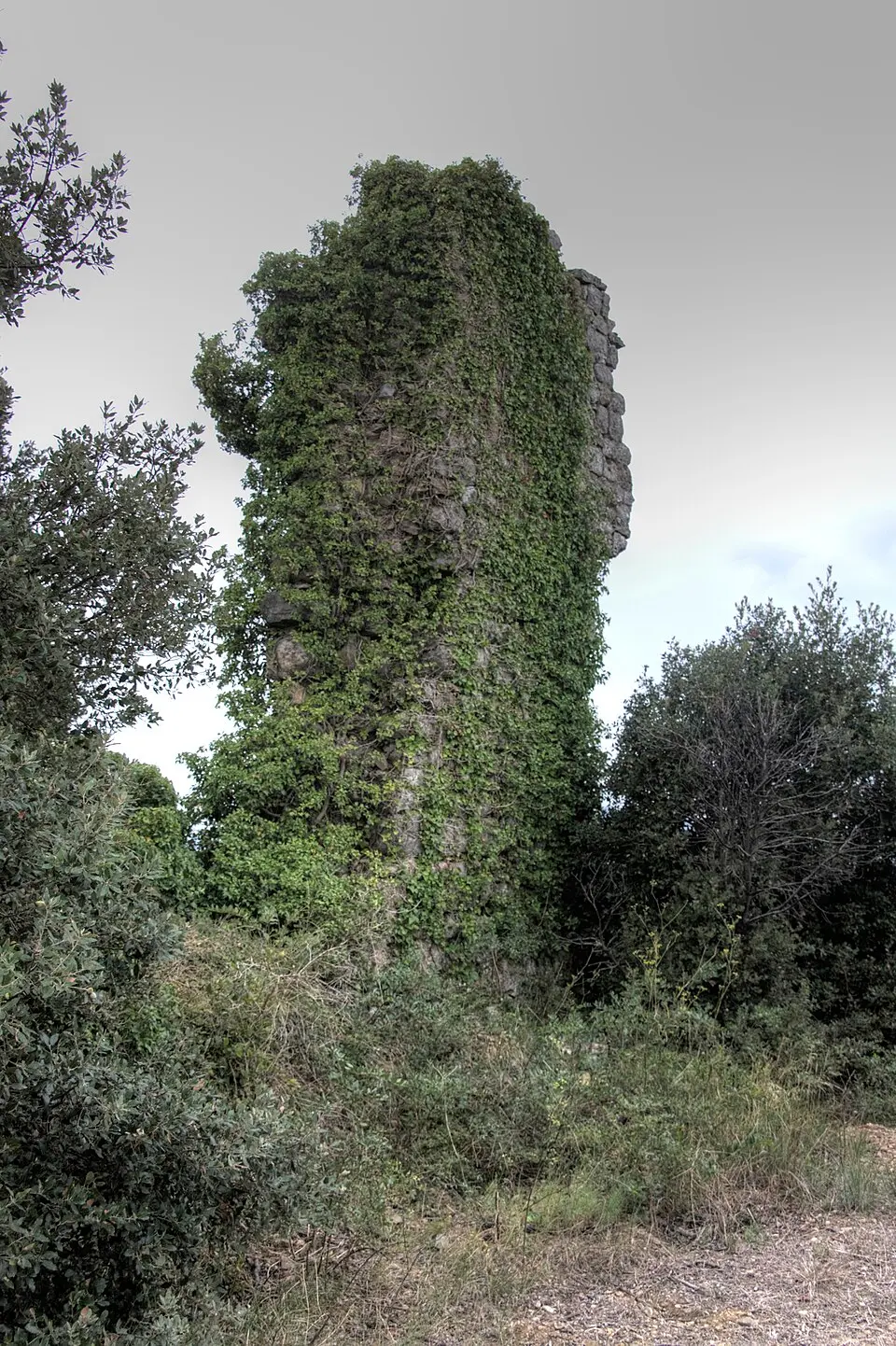 Obrázok: Albert Sarola Juanola · CC BY-SA 3.0 ES Castillo de Terradas