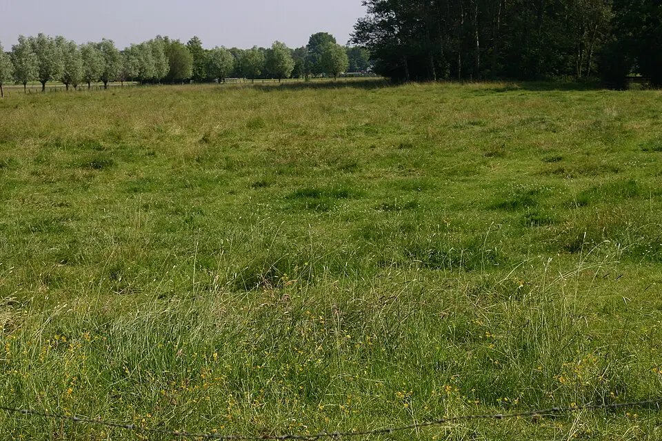 Terrein met de overblijfselen van het Sint Ursulaklooster