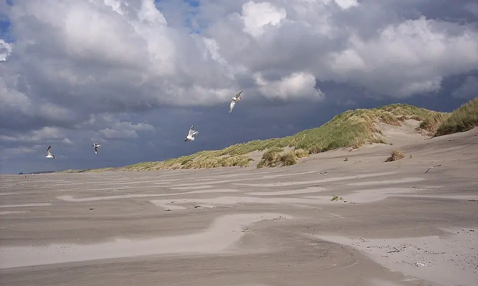 Image: Mhaesen · CC BY-SA 3.0 Duinen Terschelling