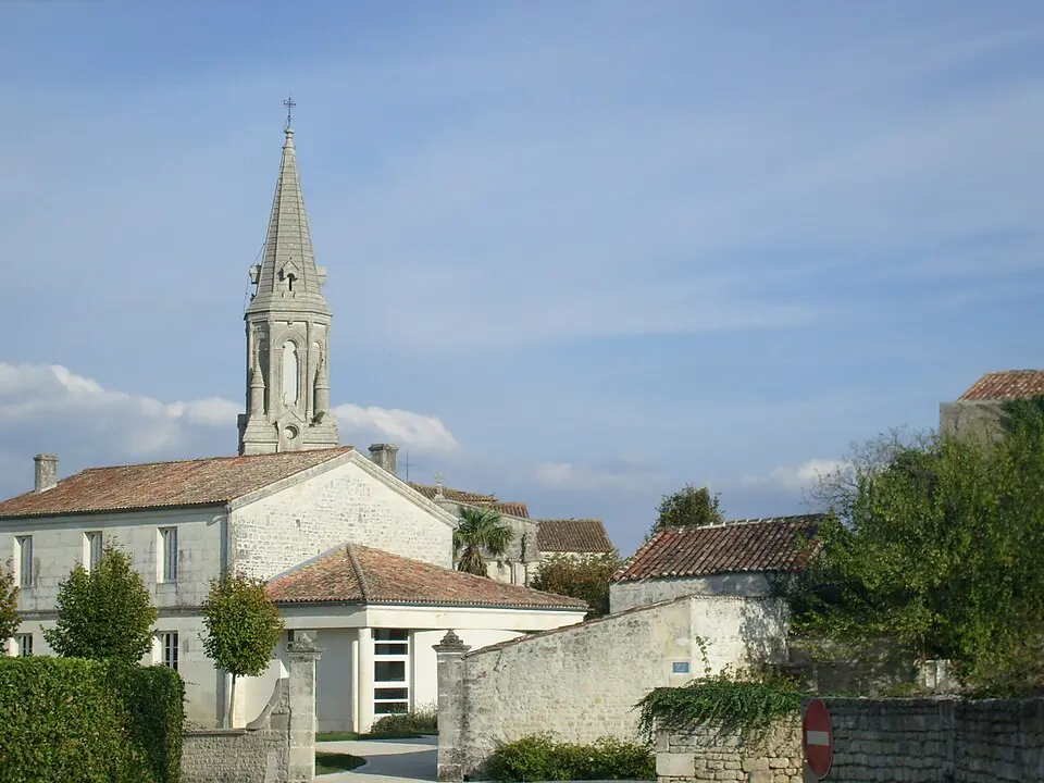 Tesson