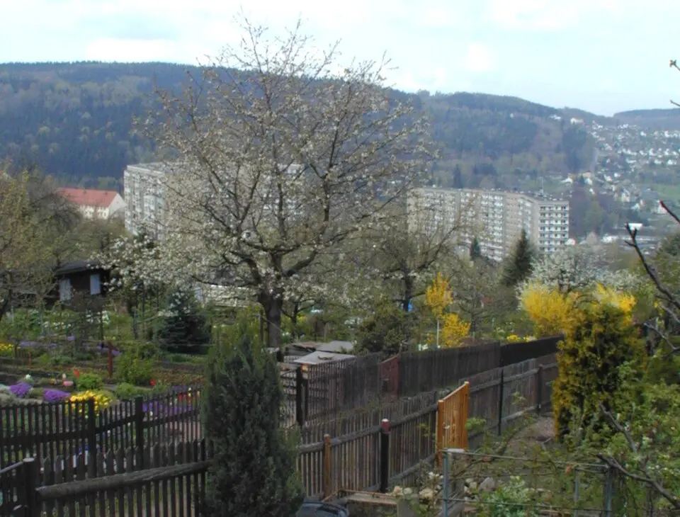 Eichert (Aue)