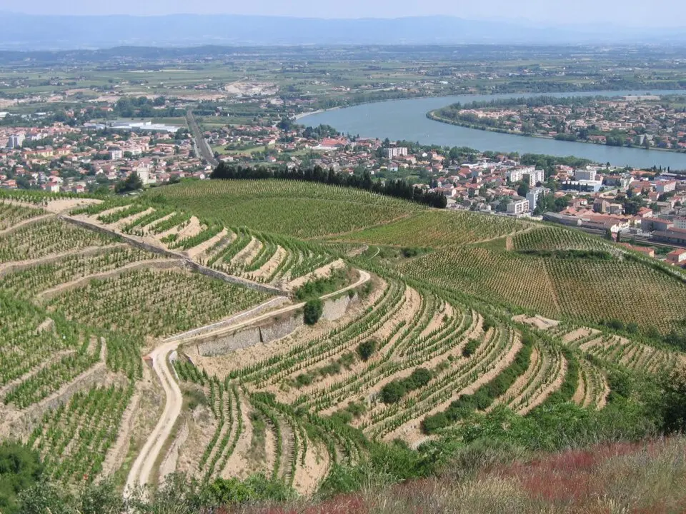 Tain-l’Hermitage