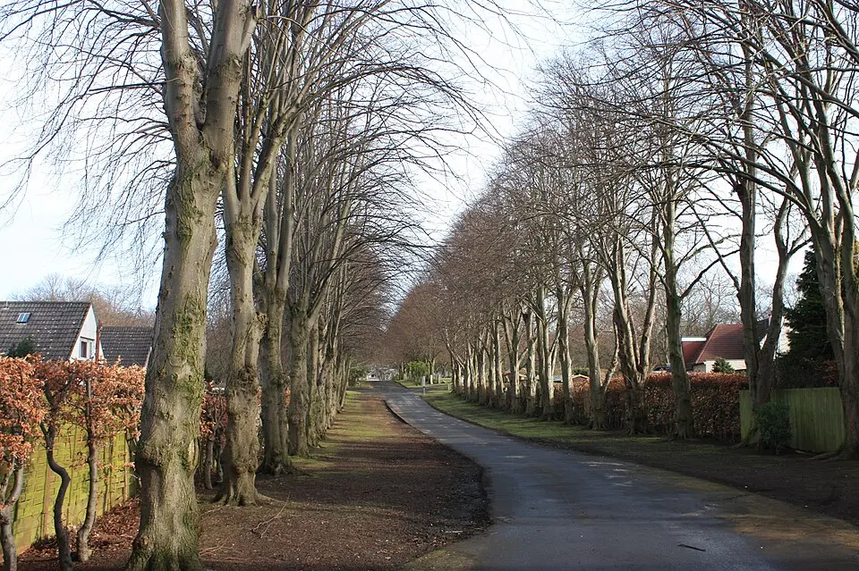 Corstorphine Hill