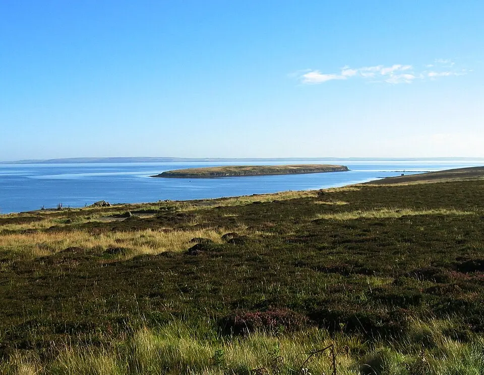Calf of Flotta