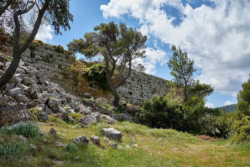 Φυλή Οινηίδας