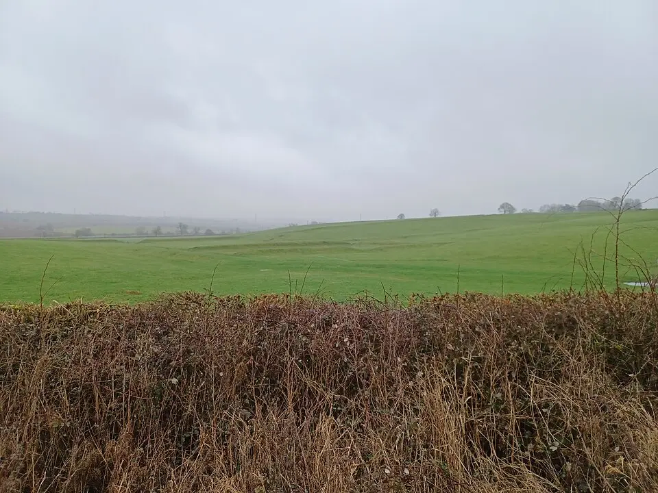 Site of manor house