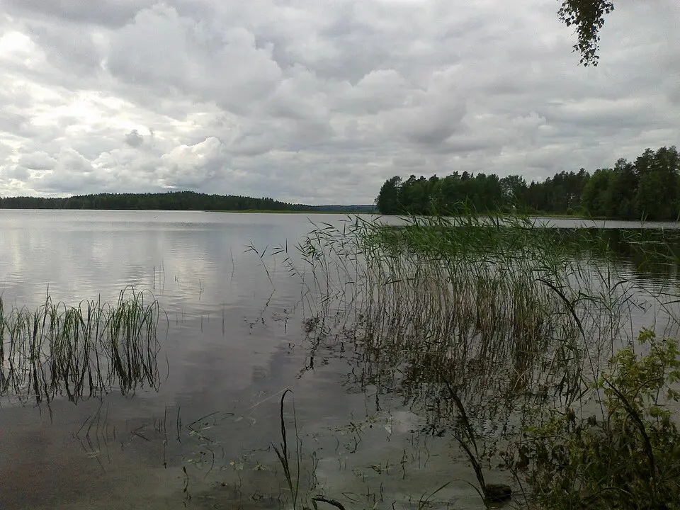 Onkivesi