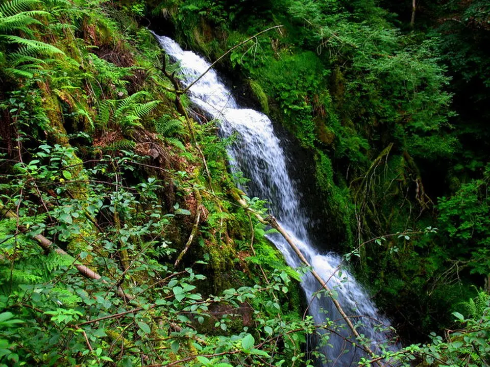 Bild: William Starkey · CC BY-SA 2.0 The Linn