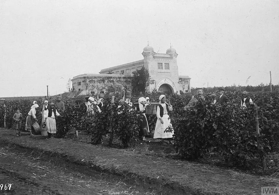 Segarcea