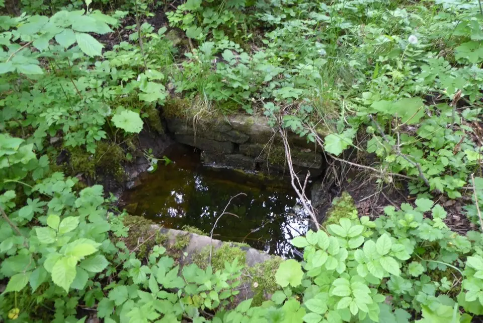 Orarna