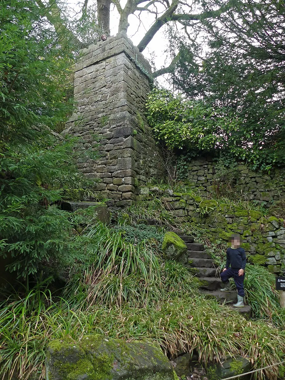 The Prospect Tower and steps, Chinese Garden