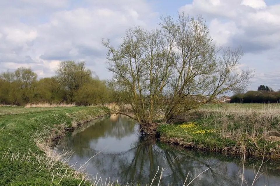 River Ock