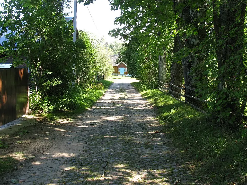Michničy