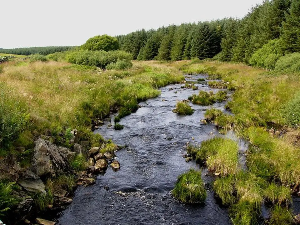 Tarf Water