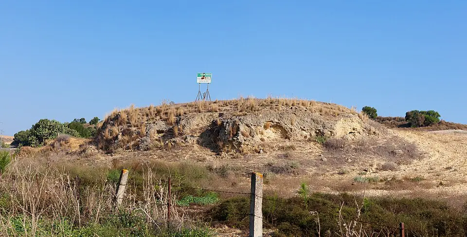 Mesas de Asta