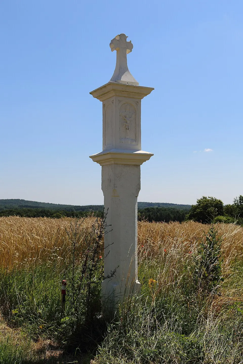 Slika: C.Stadler/Bwag · CC BY-SA 3.0 AT Bildstock