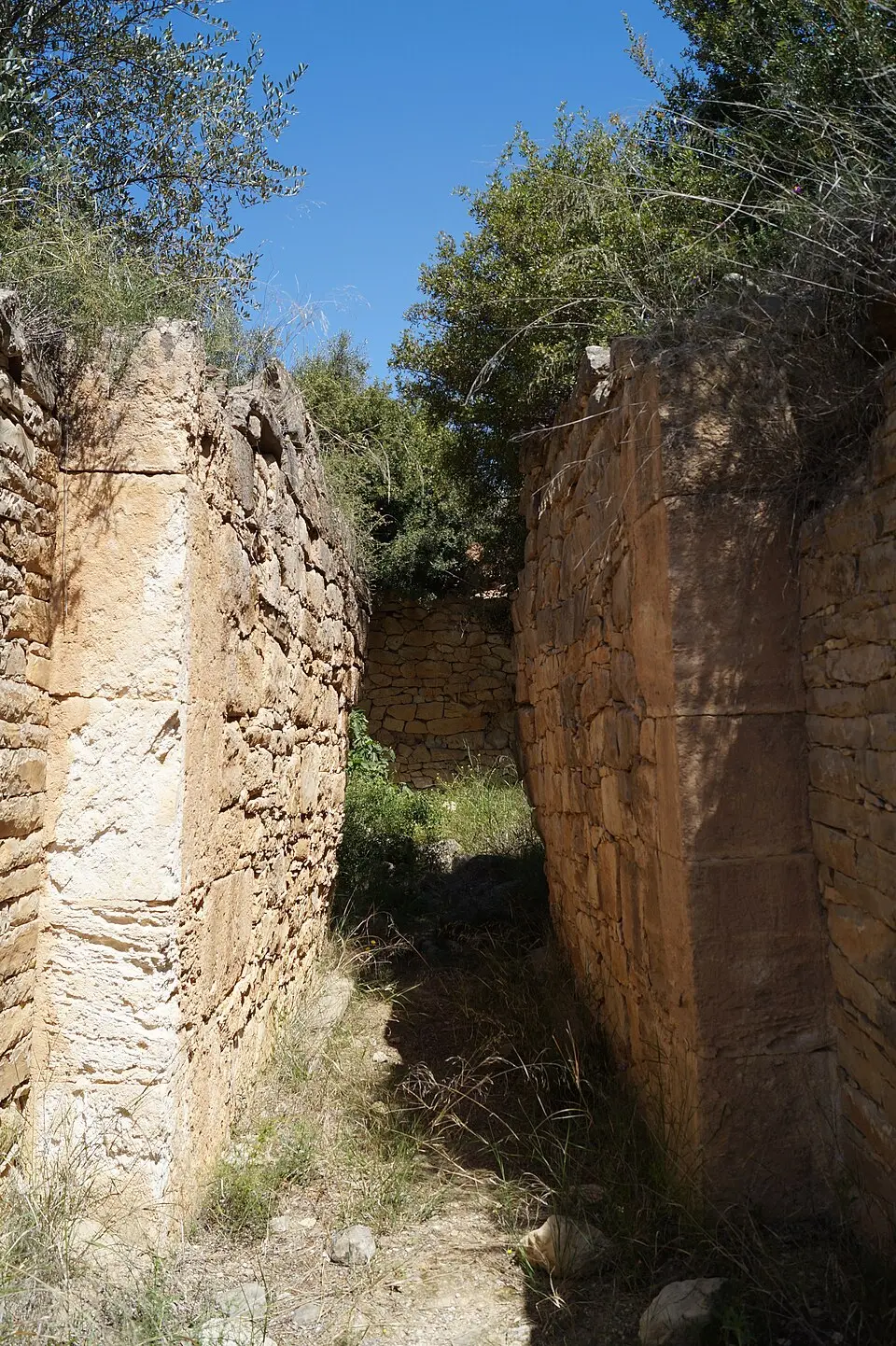 Tholos Tomb of Berbati