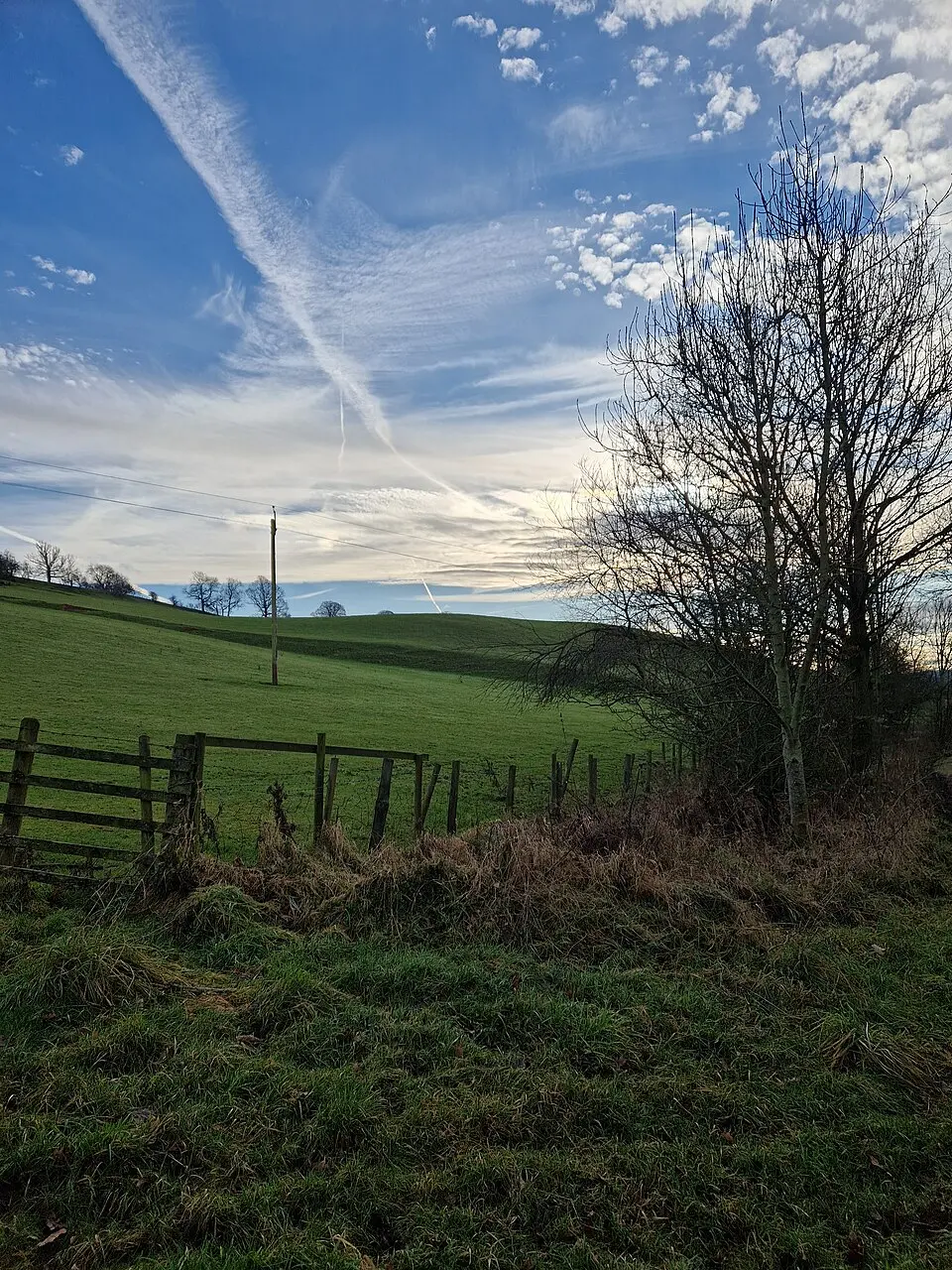 Throstle Brow prehistoric enclosure