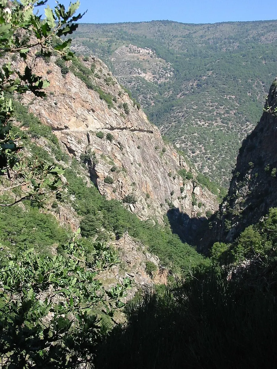 Carança