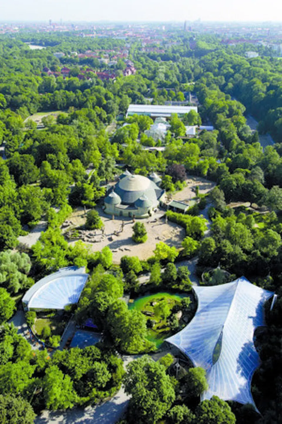 Image: STSprenzel · CC BY-SA 3.0 zoo de Munich
