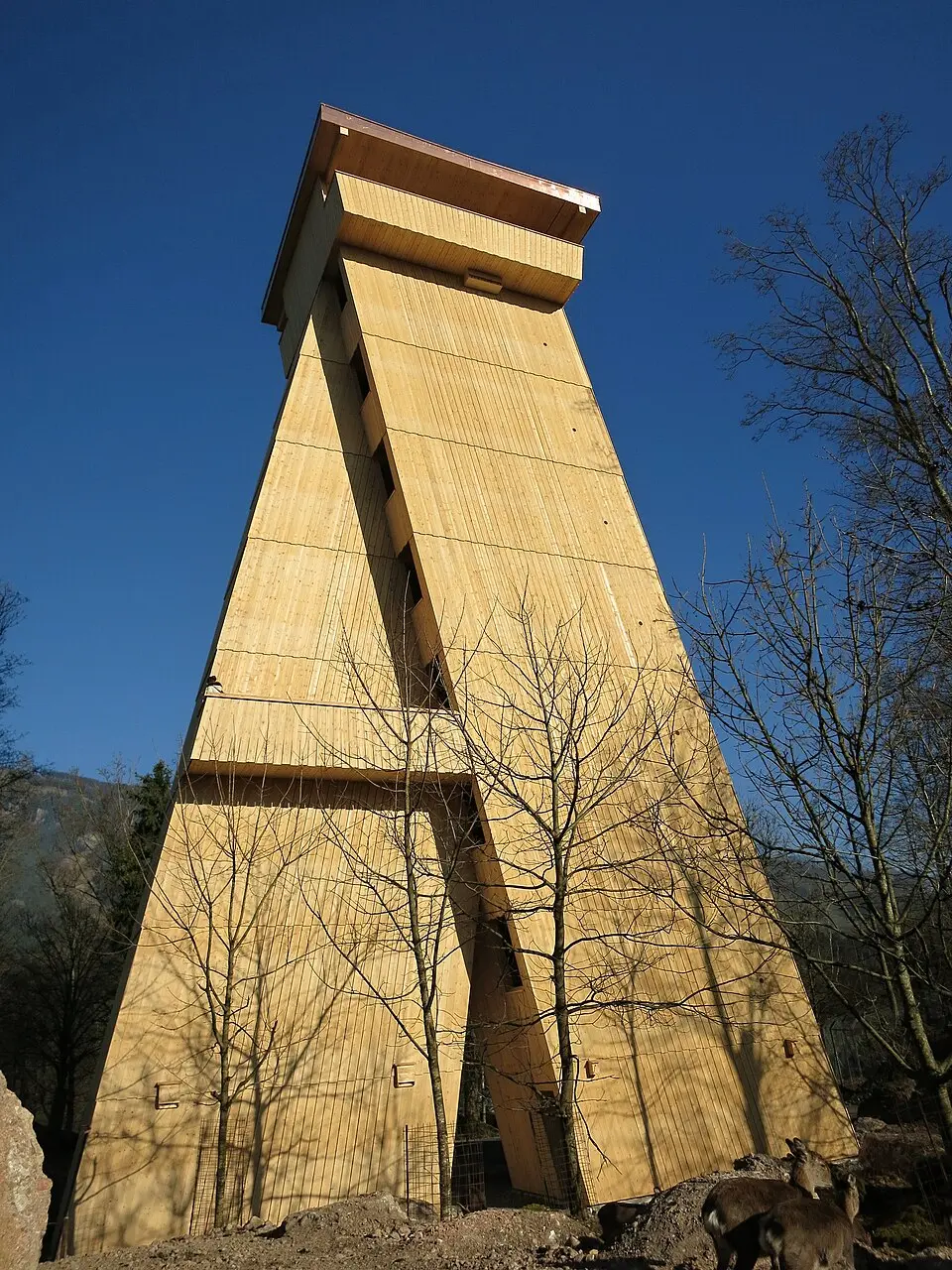 Tierparkturm Goldau