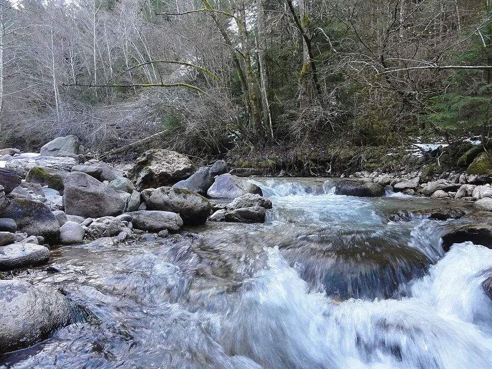 Rio Bria