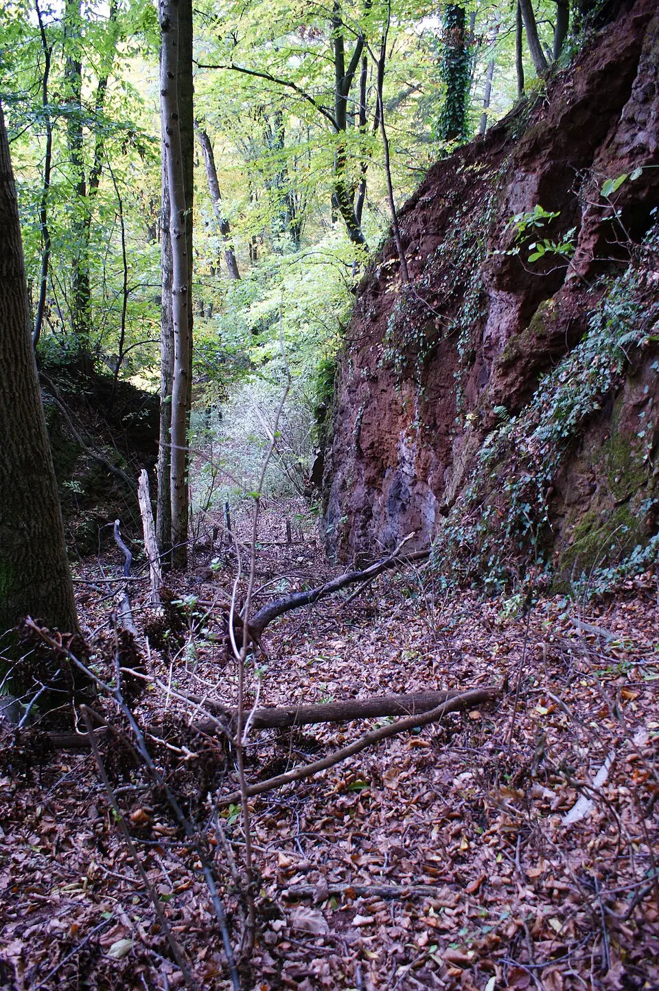 Basalt fissure