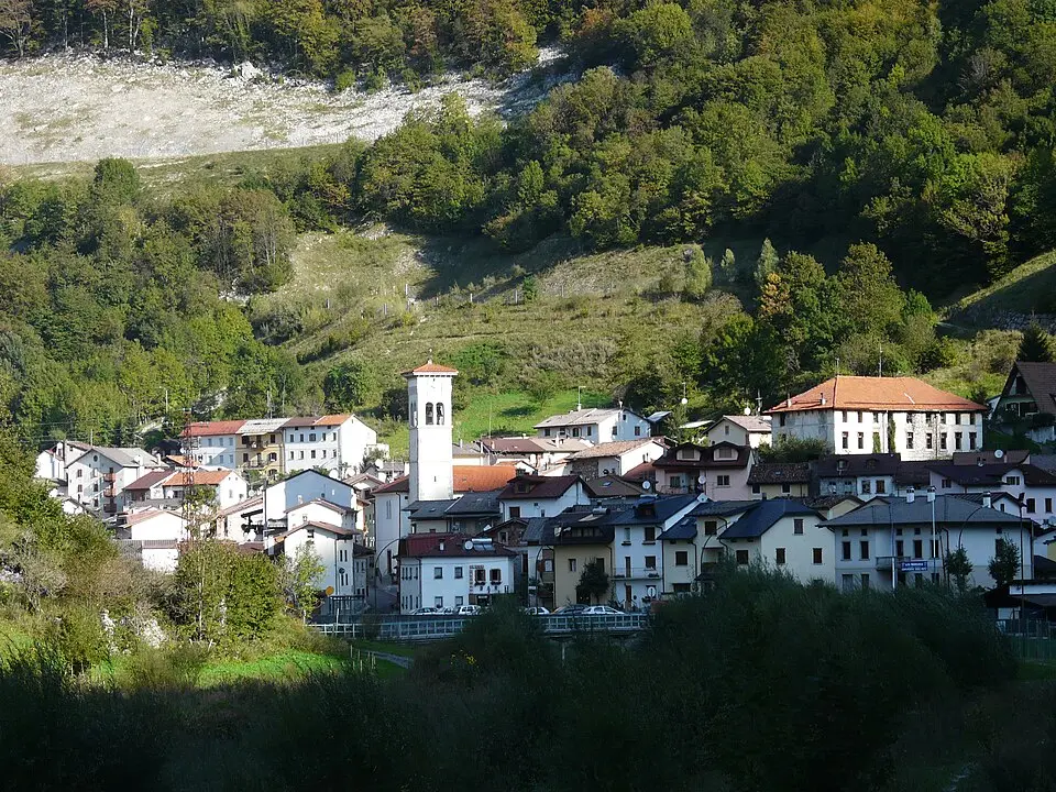 Timau