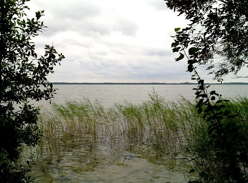 Tingstäde träsk