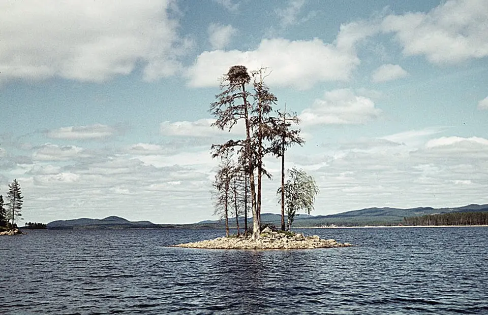 Tisjön
