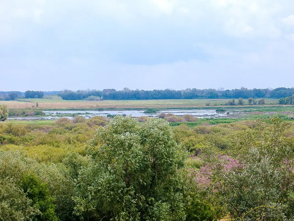 Kiskunsági Nemzeti Park